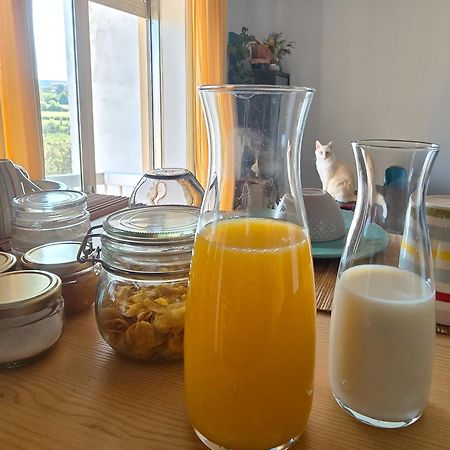 Appartamento The House Of Cats Oliveira do Douro  Esterno foto